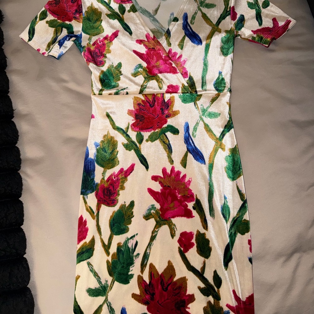 ZARA Floral V-Neck Dress Velvet